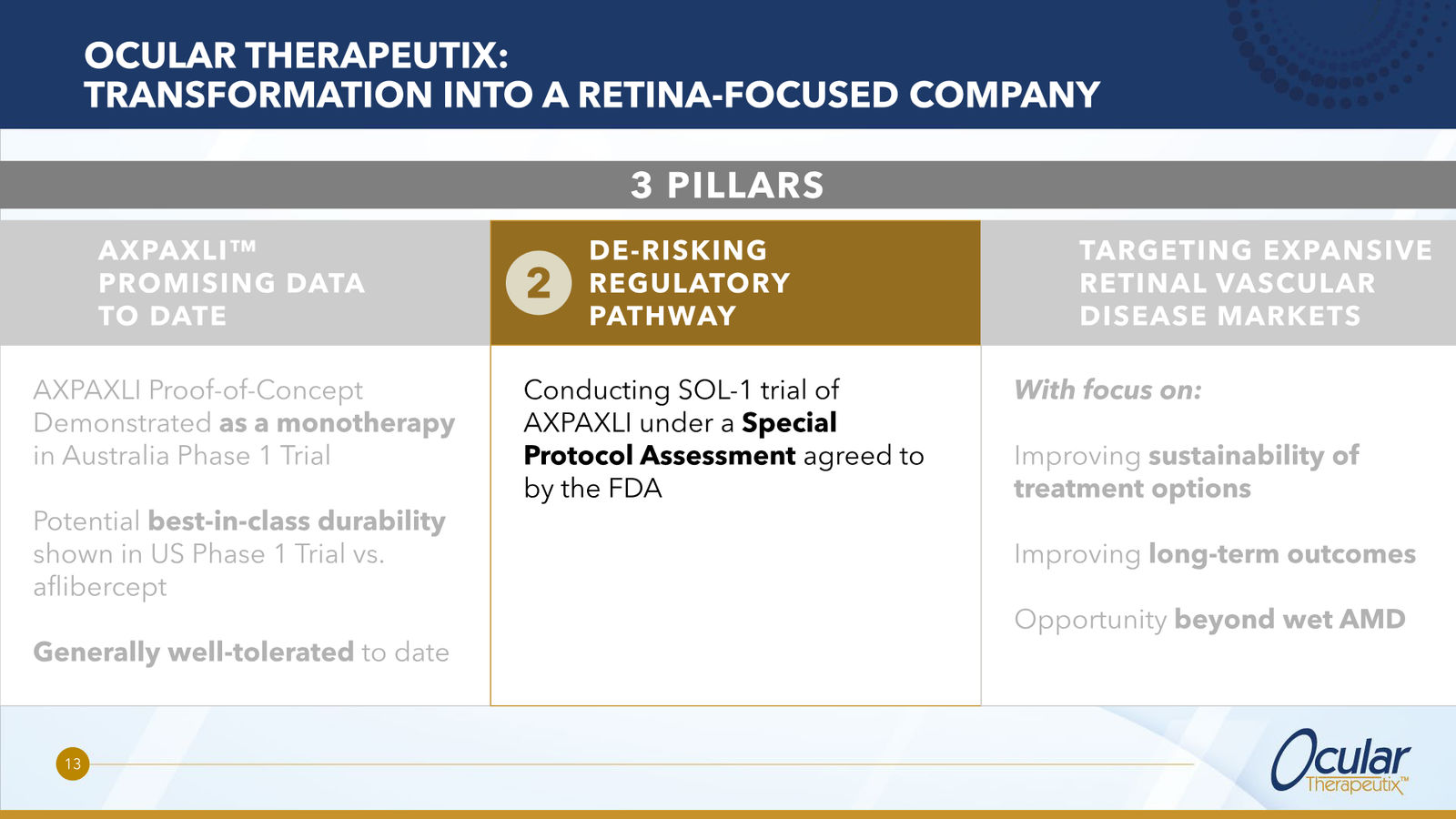 Ocular Therapeutix Corporate Overview — slide 13 of 20