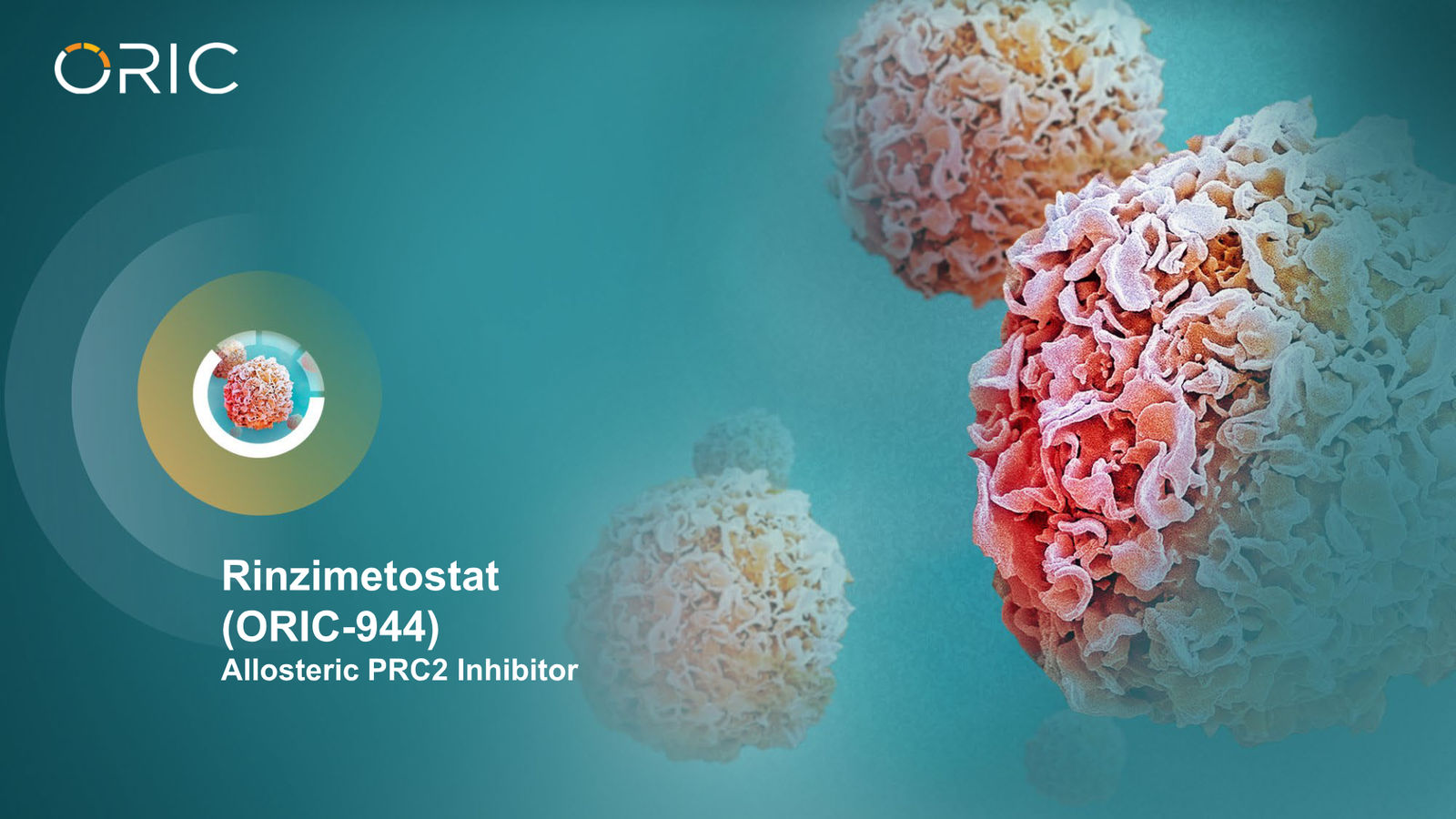 ORIC Pharmaceuticals Company Presentation March 2026 — slide 7 of 50