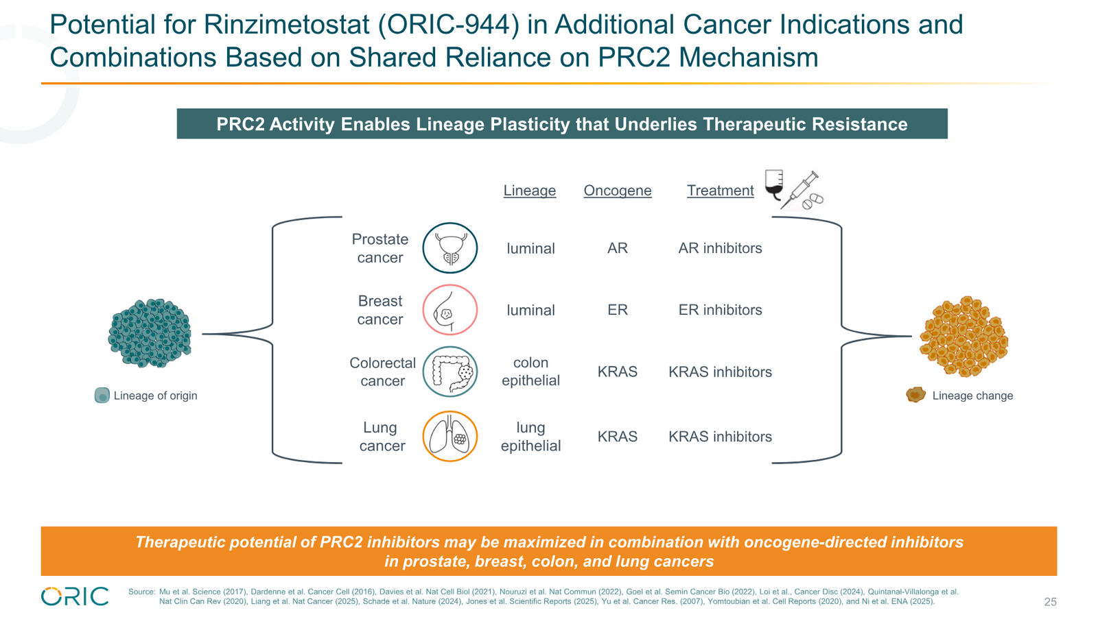 ORIC Pharmaceuticals Company Presentation March 2026 — slide 25 of 50