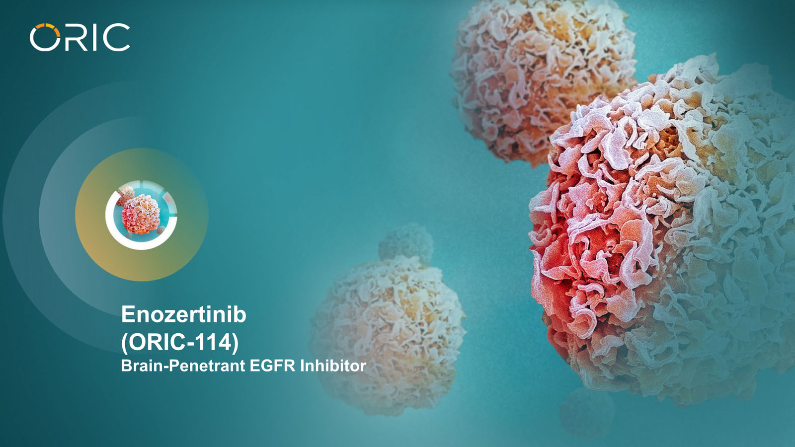 ORIC Pharmaceuticals Company Presentation March 2026 — slide 27 of 50