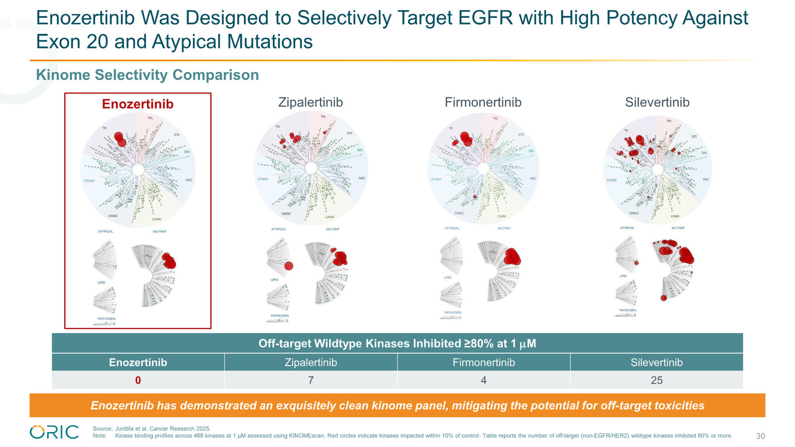 ORIC Pharmaceuticals Company Presentation March 2026 — slide 30 of 50