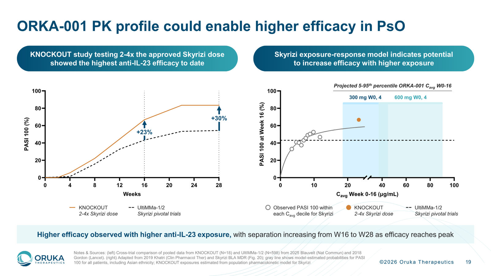 Oruka Therapeutics Corporate Overview — March 2026 — slide 19 of 36