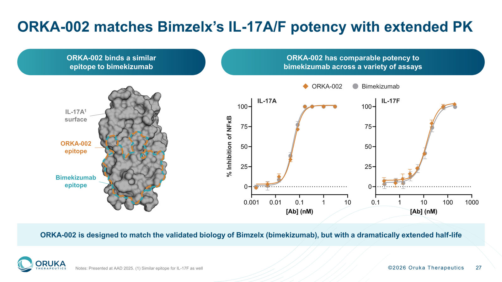 Oruka Therapeutics Corporate Overview — March 2026 — slide 27 of 36