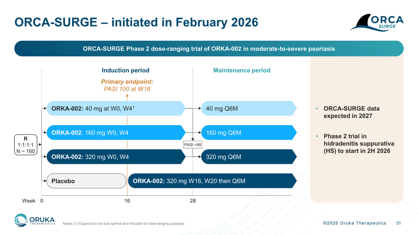 Oruka Therapeutics Corporate Overview — March 2026 — slide 31 of 36
