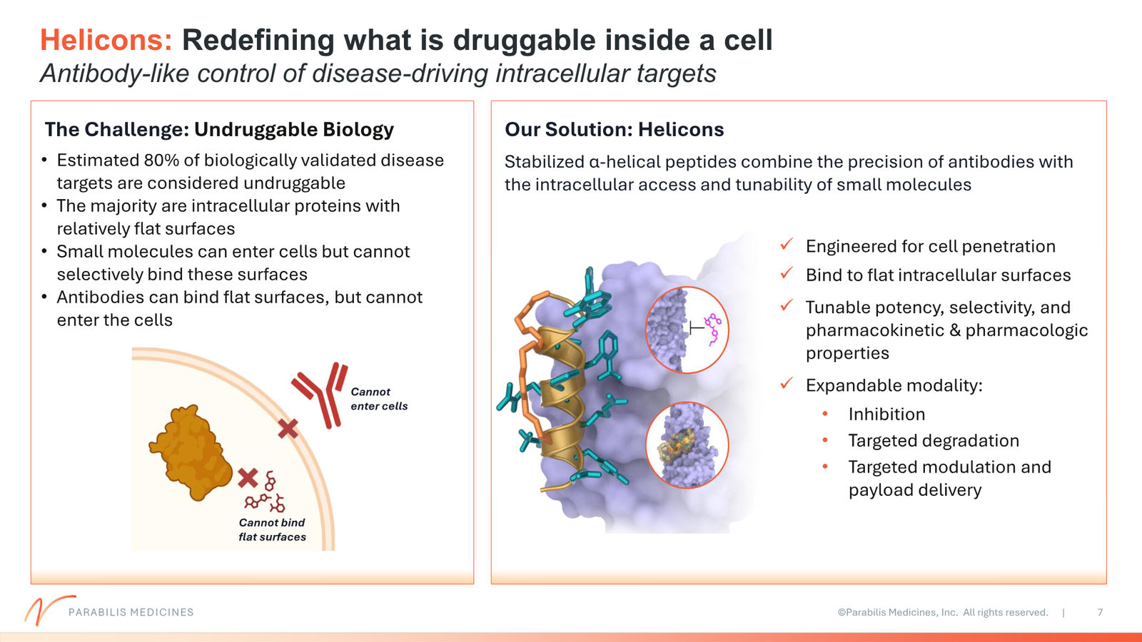 Parabilis Corporate Presentation — slide 7 of 32