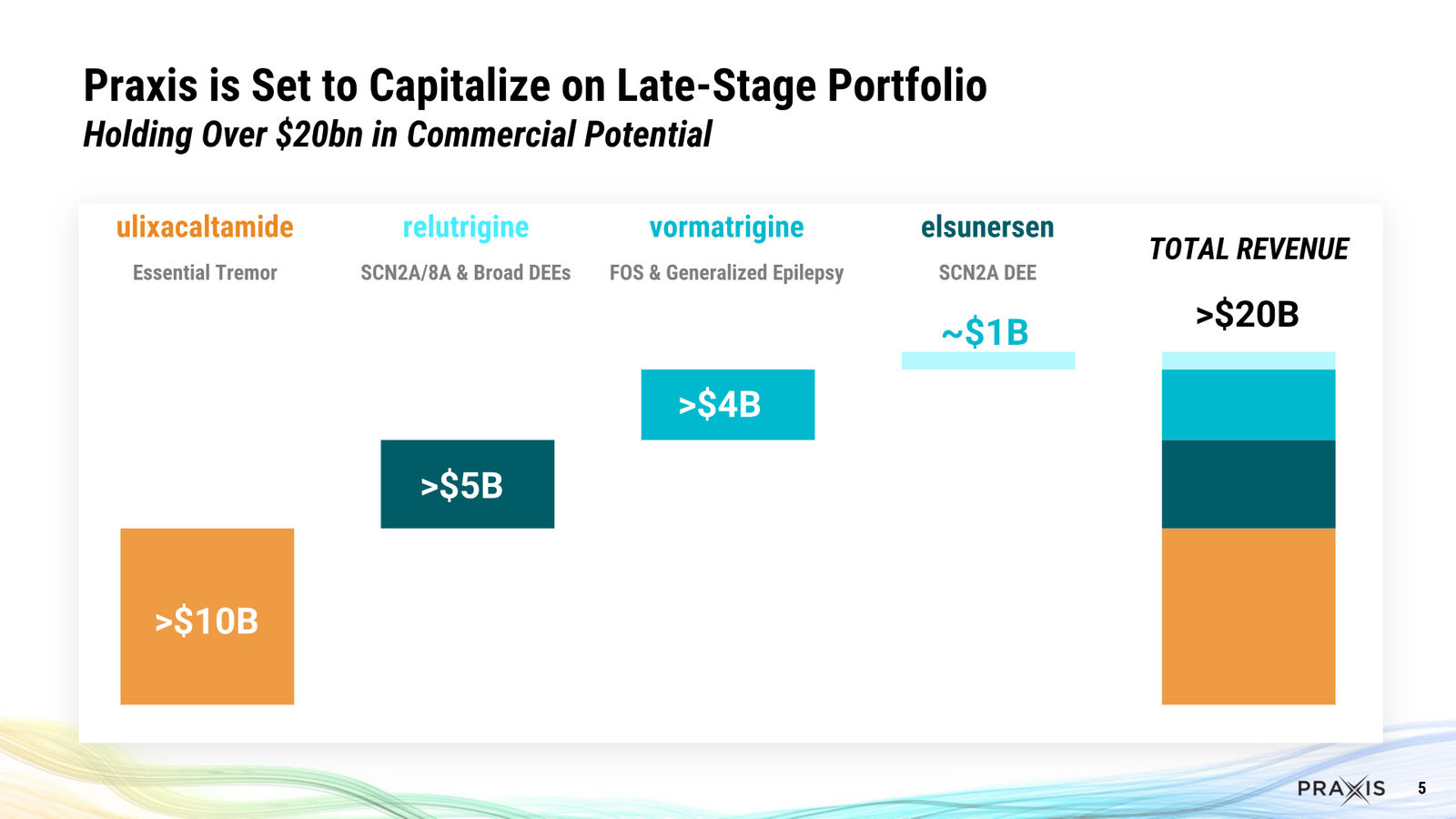 Praxis February 2026 Corporate Presentation — slide 5 of 57