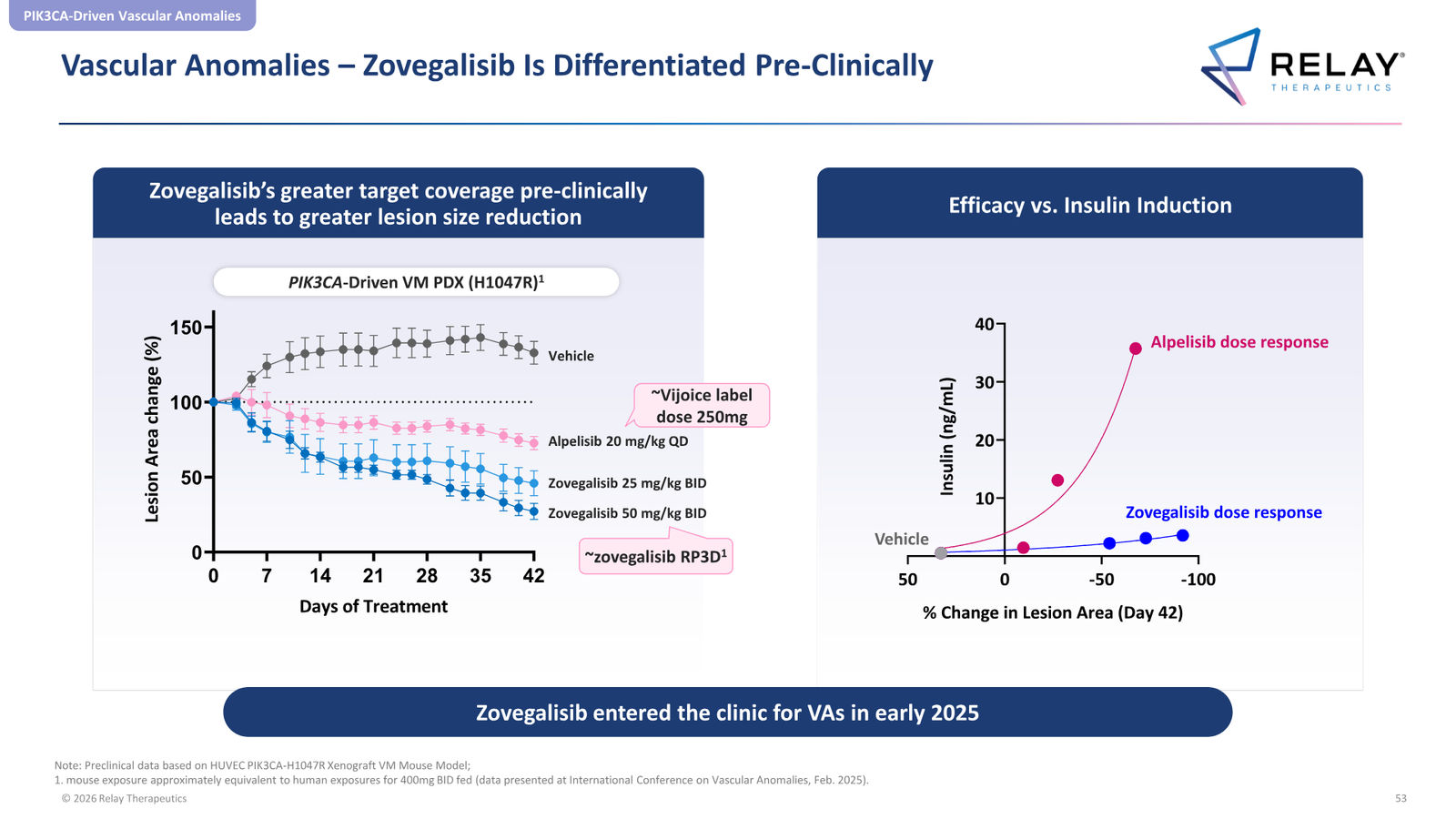 Relay Therapeutics April 2026 Corporate Presentation — slide 53 of 74