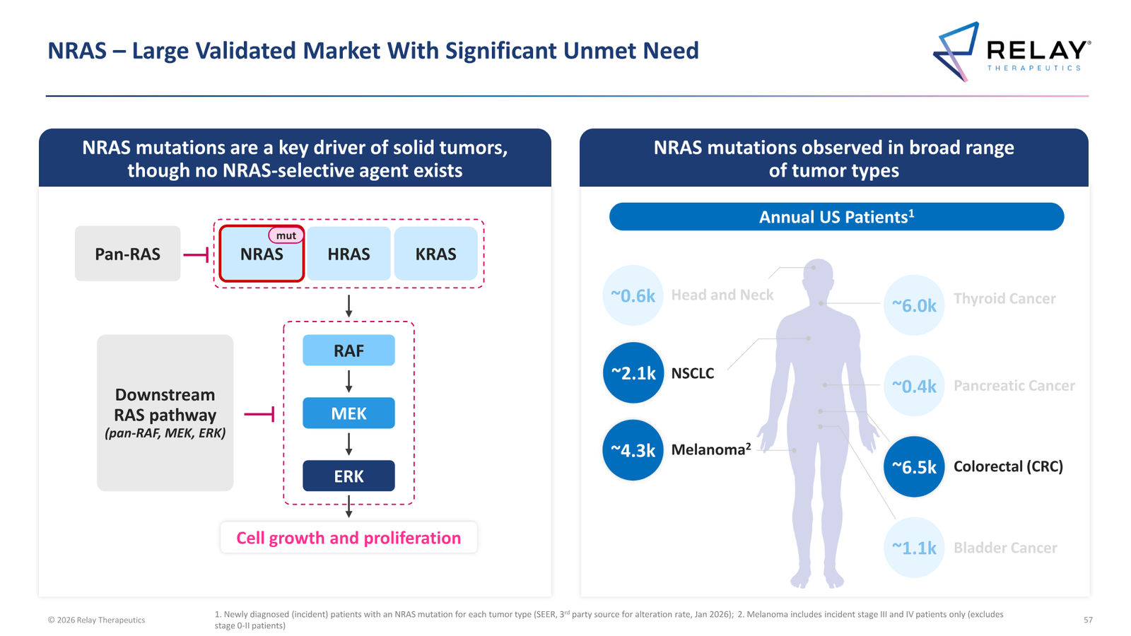 Relay Therapeutics April 2026 Corporate Presentation — slide 57 of 74