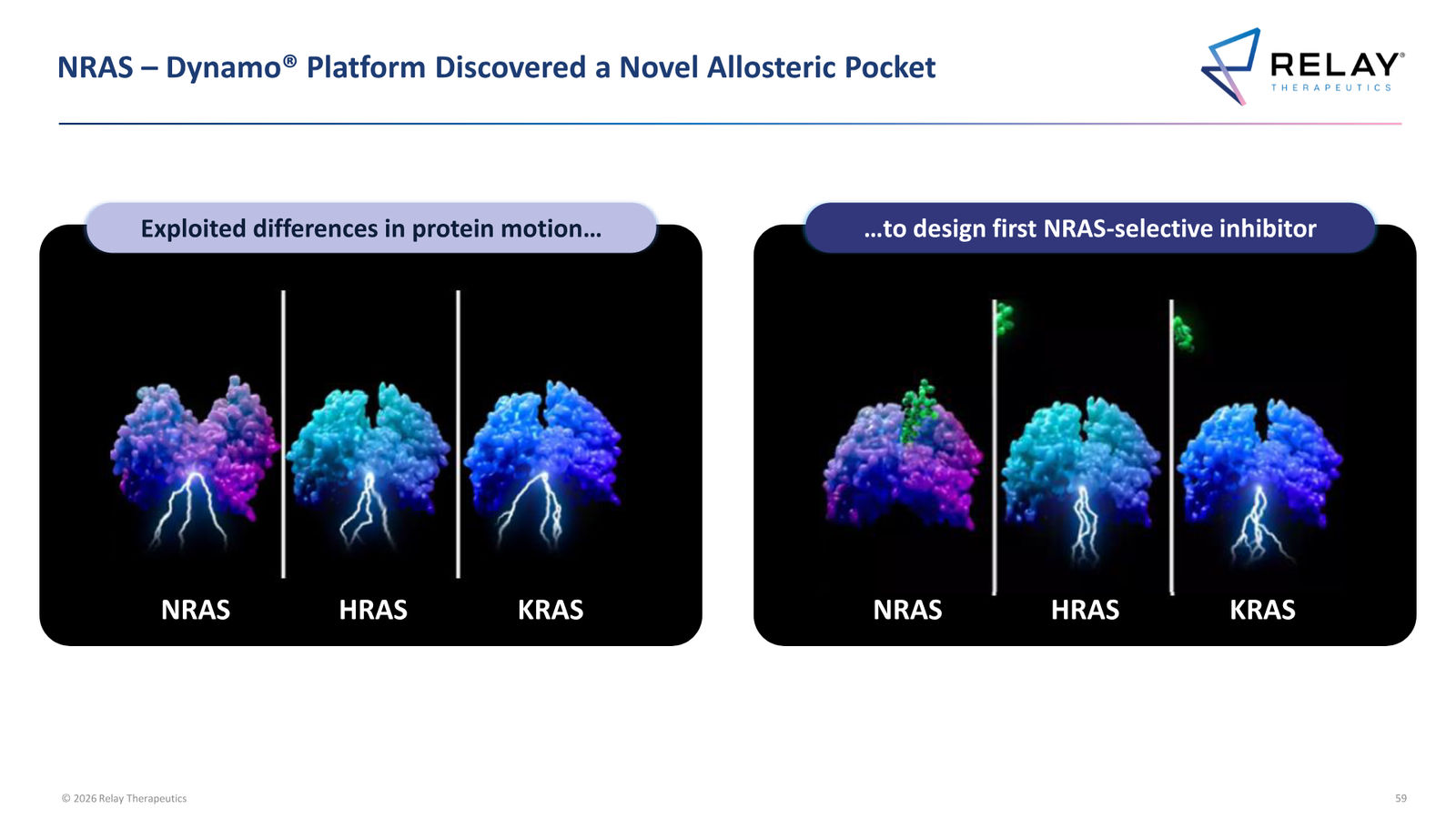 Relay Therapeutics April 2026 Corporate Presentation — slide 59 of 74