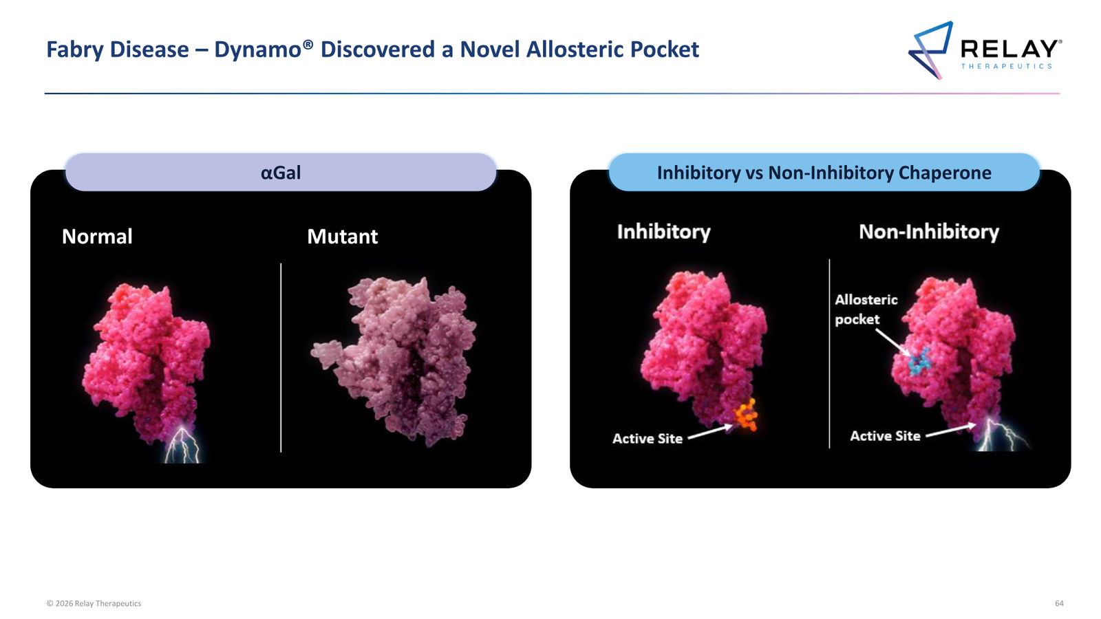 Relay Therapeutics April 2026 Corporate Presentation — slide 64 of 74