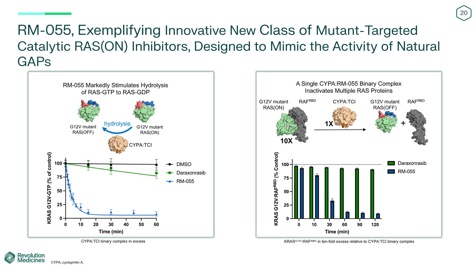 Revolution Medicines Corporate Presentation — slide 20 of 85