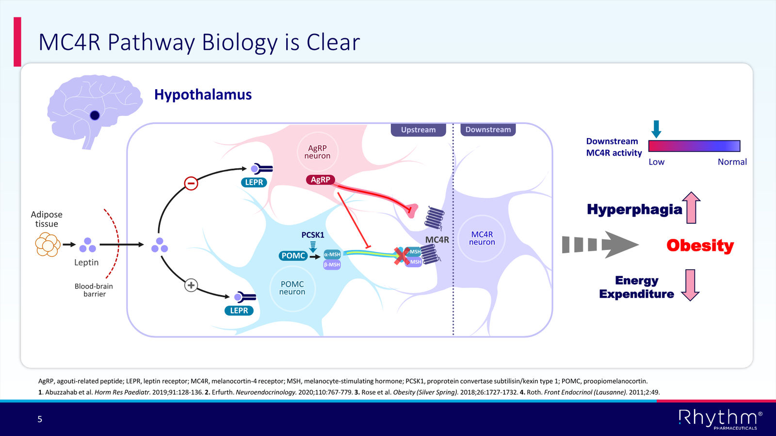Rhythm Corporate Presentation April 2026 — slide 5 of 50
