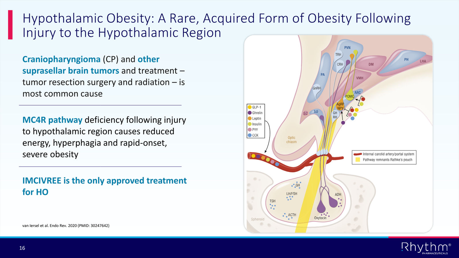 Rhythm Corporate Presentation April 2026 — slide 16 of 50