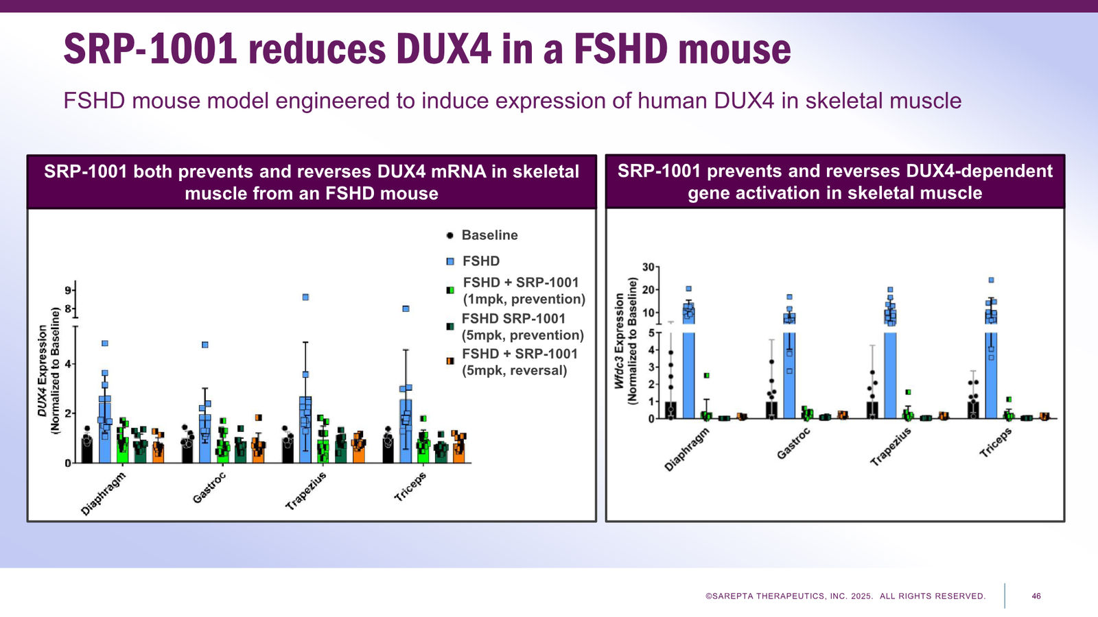 Sarepta Corporate Presentation 2025 — slide 46 of 60