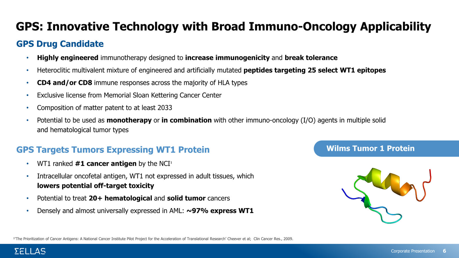 SELLAS Life Sciences Corporate Presentation — February 2026 — slide 6 of 34