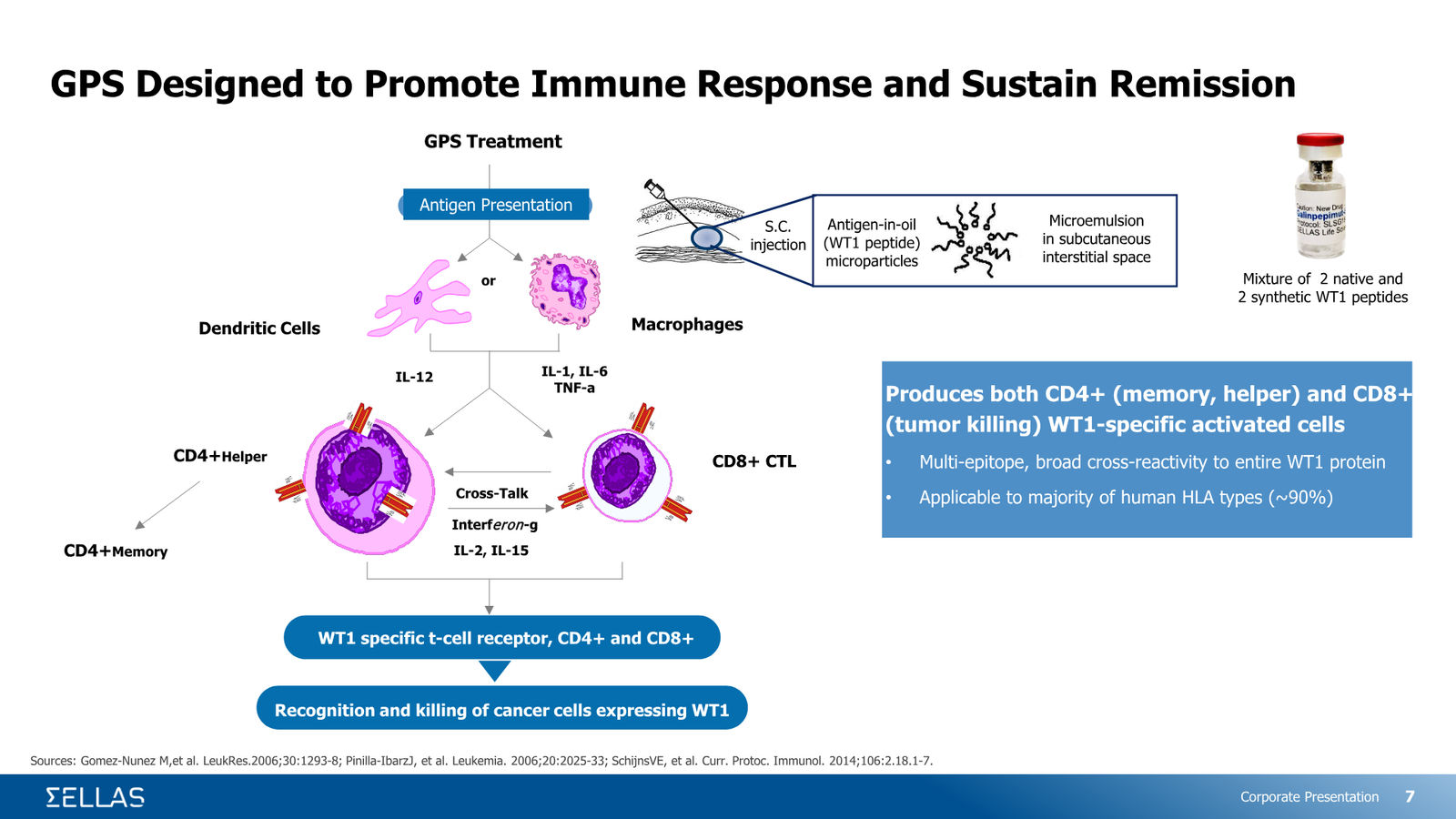 SELLAS Life Sciences Corporate Presentation — February 2026 — slide 7 of 34