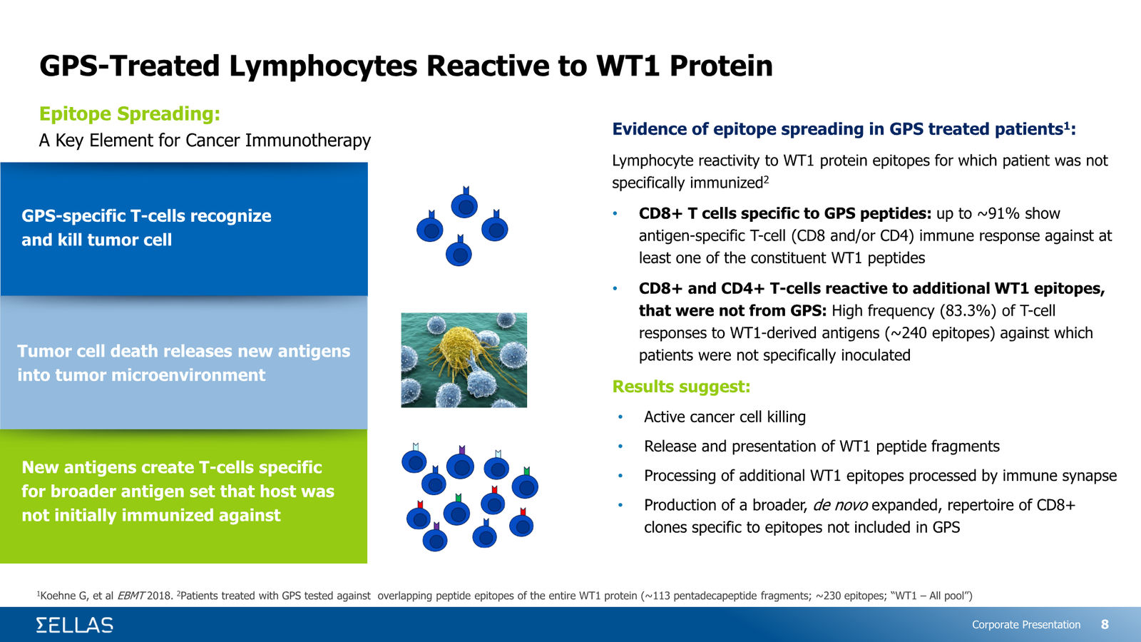 SELLAS Life Sciences Corporate Presentation — February 2026 — slide 8 of 34
