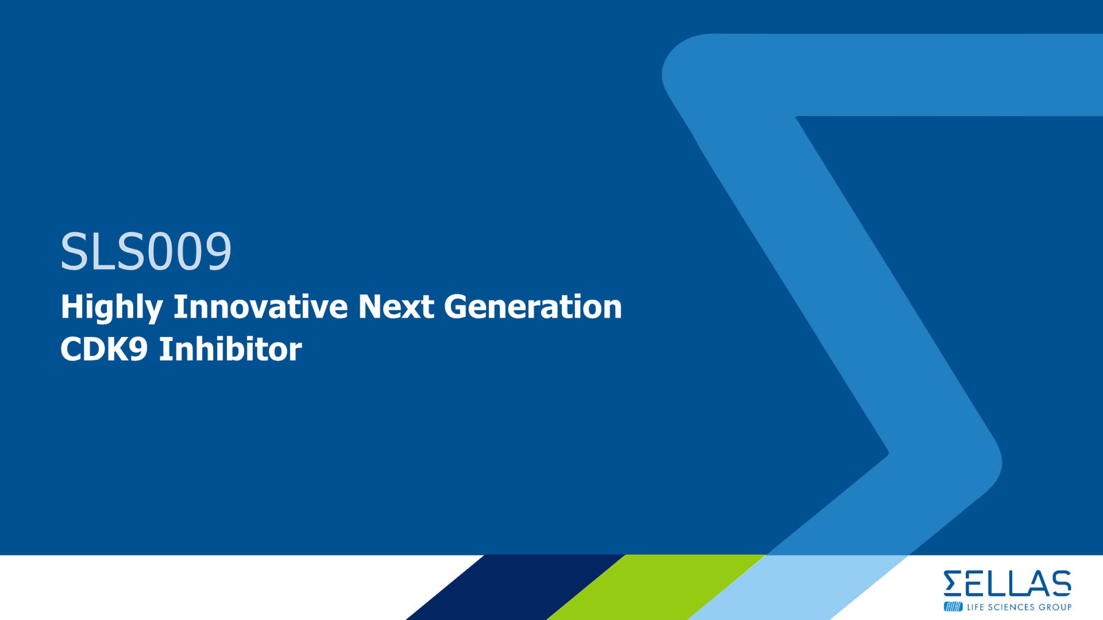 SELLAS Life Sciences Corporate Presentation — February 2026 — slide 18 of 34