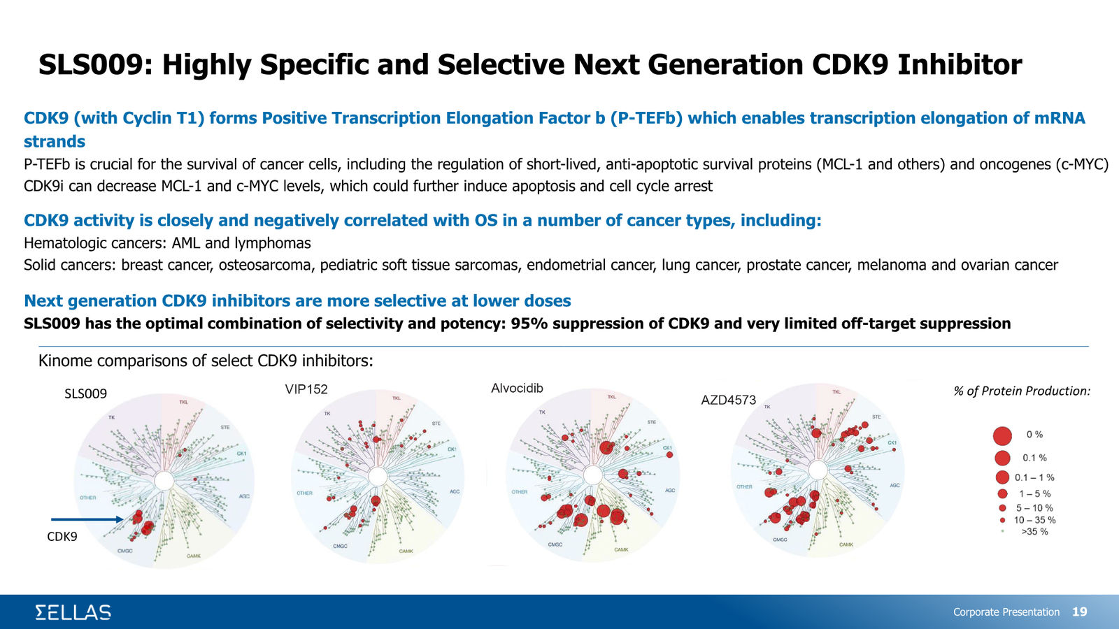 SELLAS Life Sciences Corporate Presentation — February 2026 — slide 19 of 34
