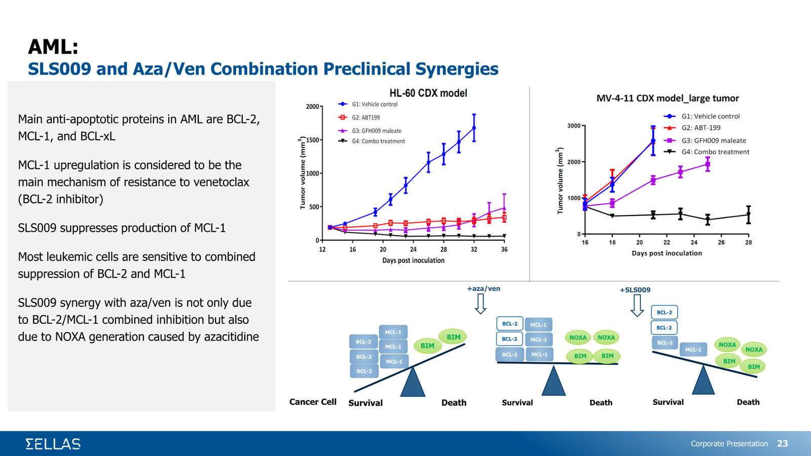 SELLAS Life Sciences Corporate Presentation — February 2026 — slide 23 of 34