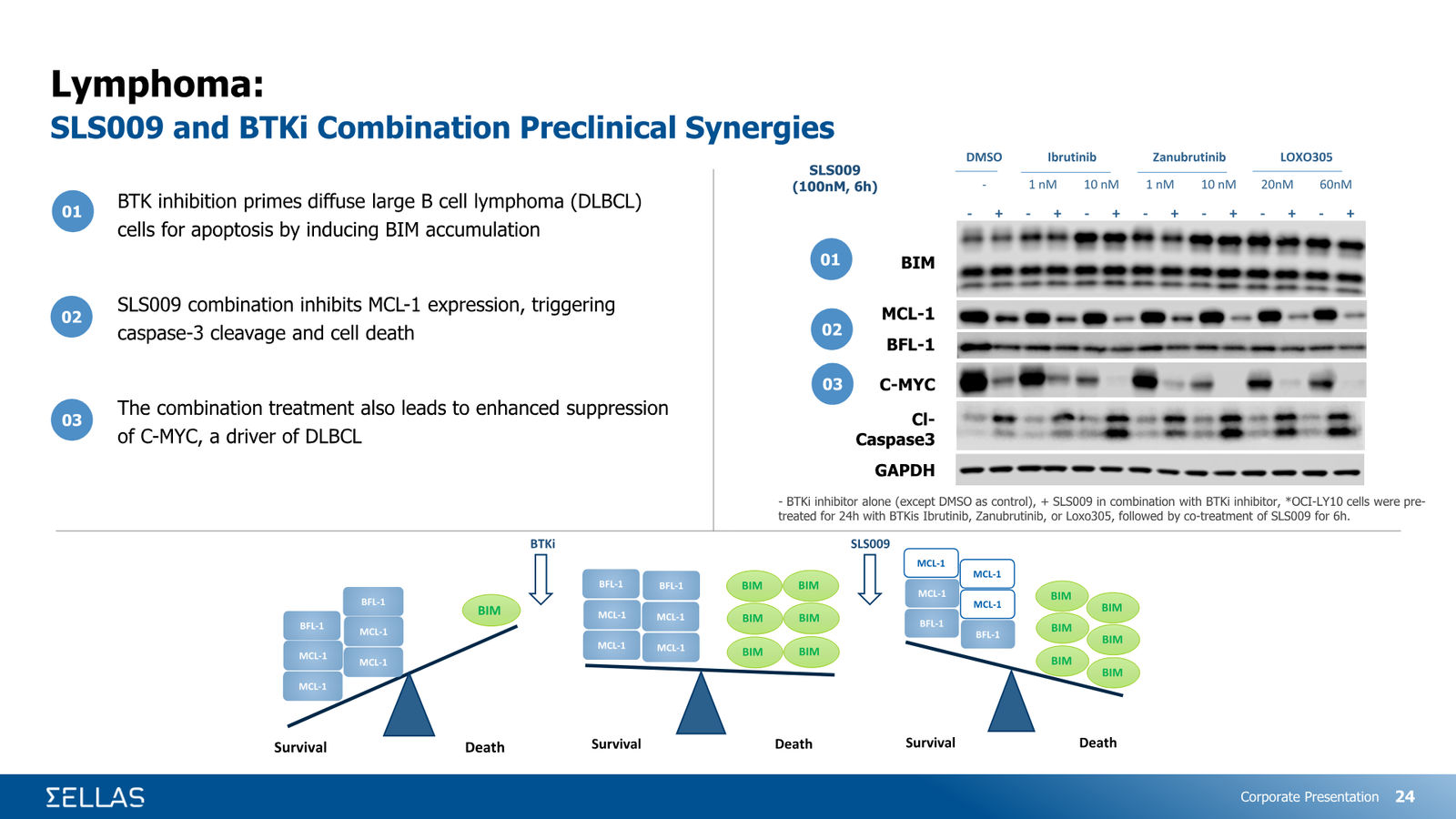 SELLAS Life Sciences Corporate Presentation — February 2026 — slide 24 of 34