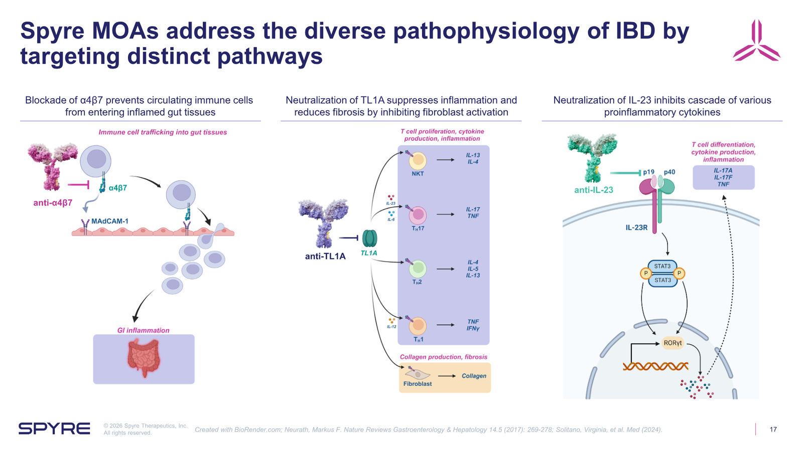 Spyre Therapeutics Corporate Overview — slide 17 of 38