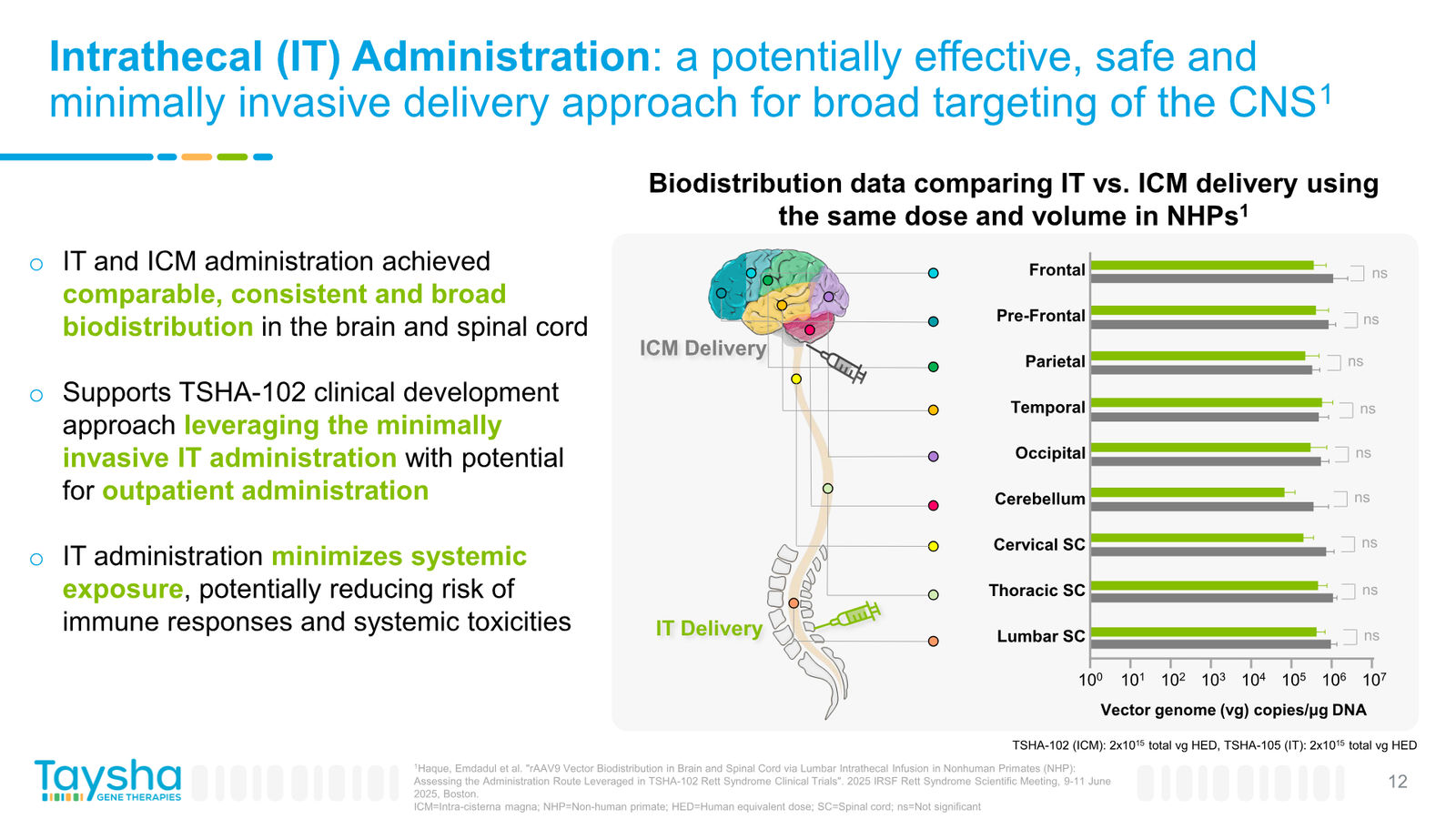Taysha Gene Therapies Corporate Presentation April 2026 — slide 12 of 41