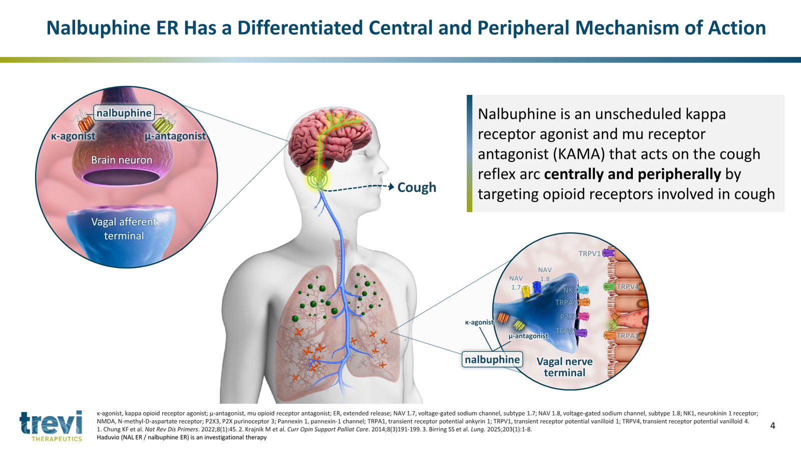 Trevi Therapeutics Corporate Presentation March 2026 — slide 4 of 24