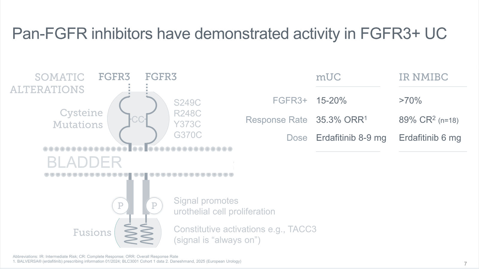 Tyra Biosciences Investor Presentation — slide 7 of 66