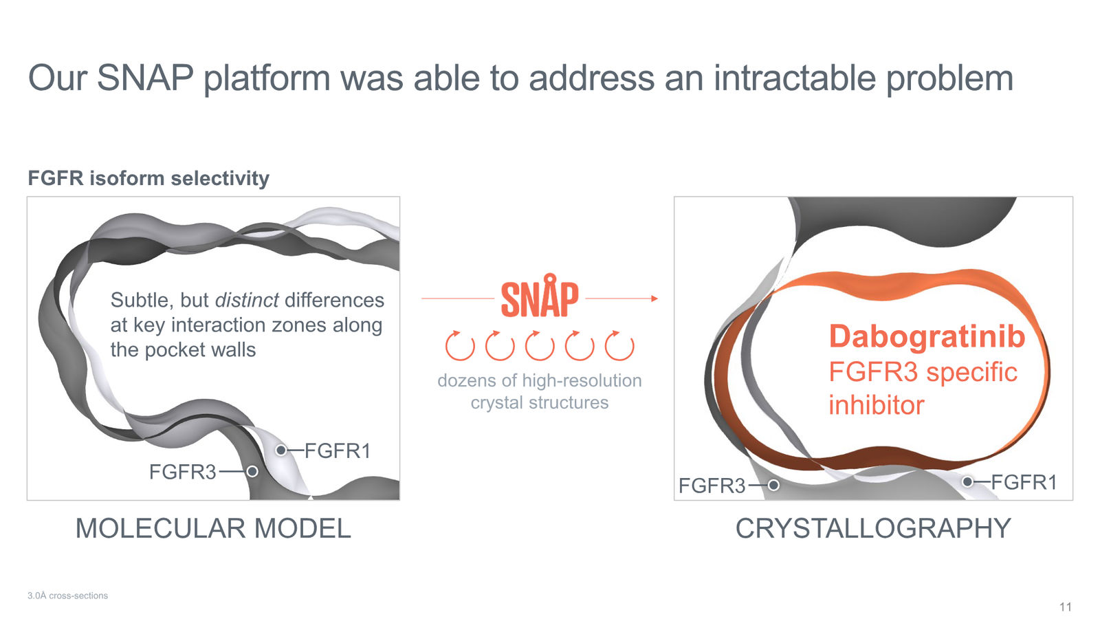 Tyra Biosciences Investor Presentation — slide 11 of 66