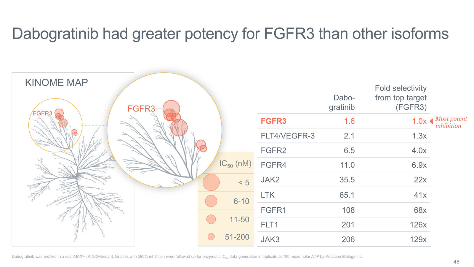 Tyra Biosciences Investor Presentation — slide 46 of 66