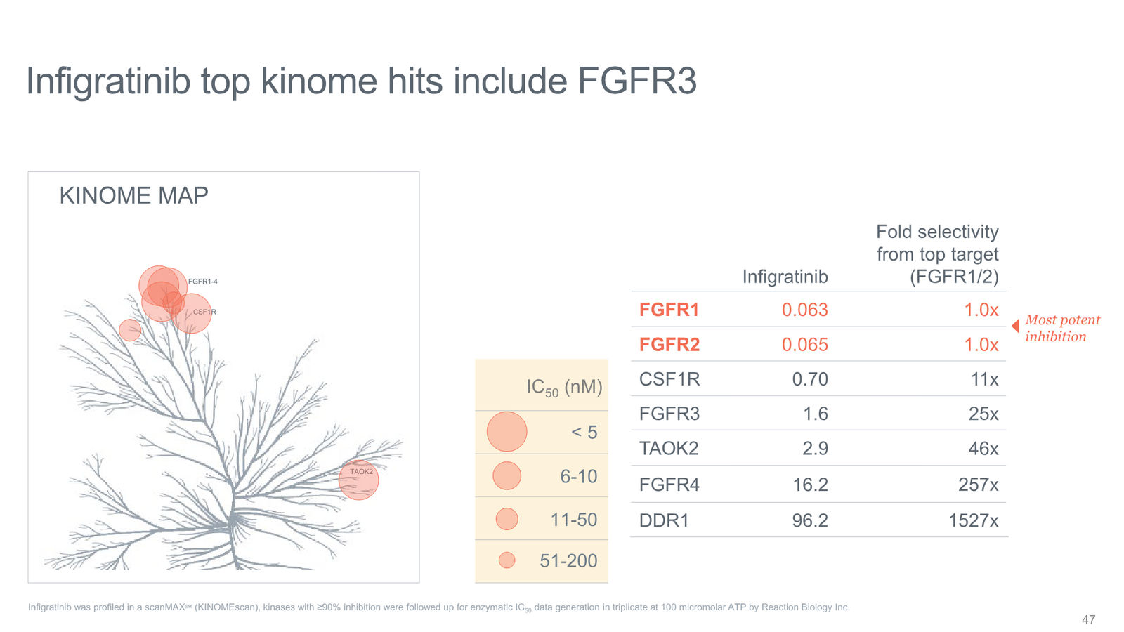 Tyra Biosciences Investor Presentation — slide 47 of 66