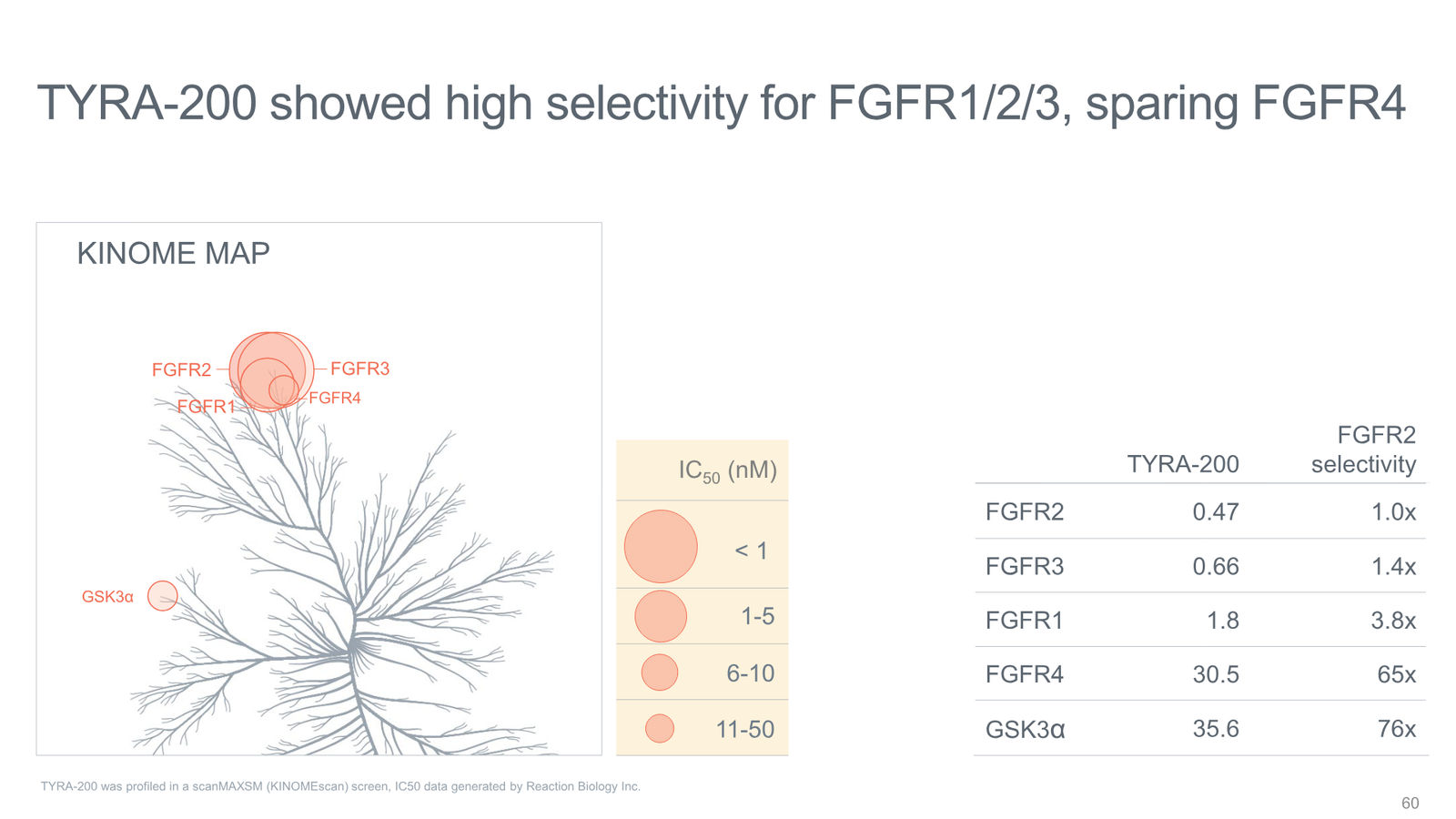 Tyra Biosciences Investor Presentation — slide 60 of 66