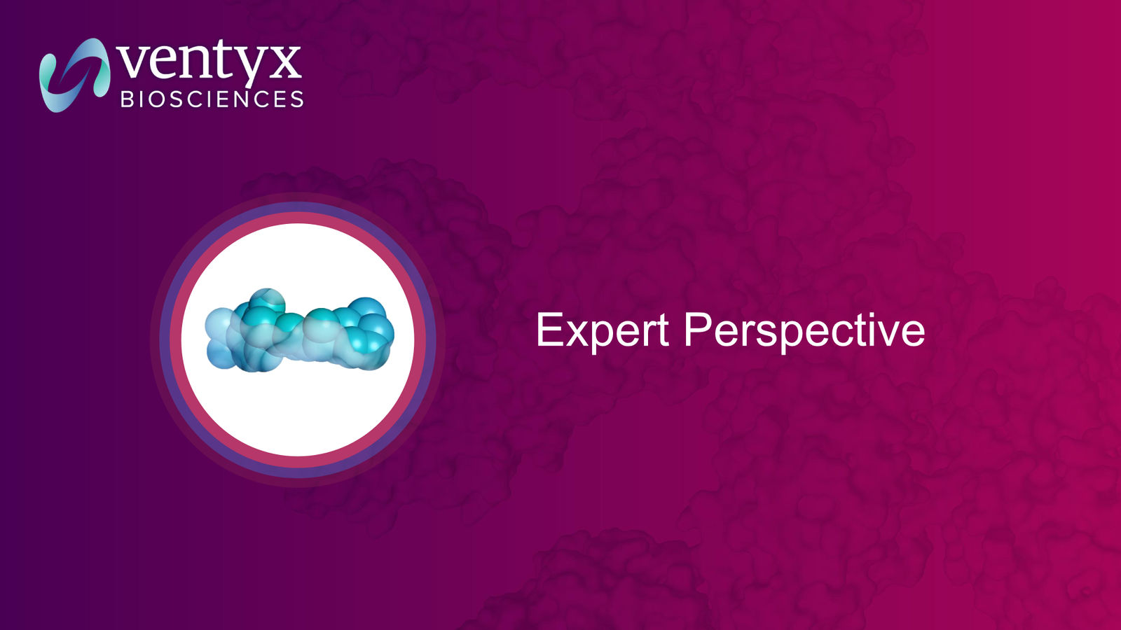 Ventyx Corporate Presentation — slide 24 of 30