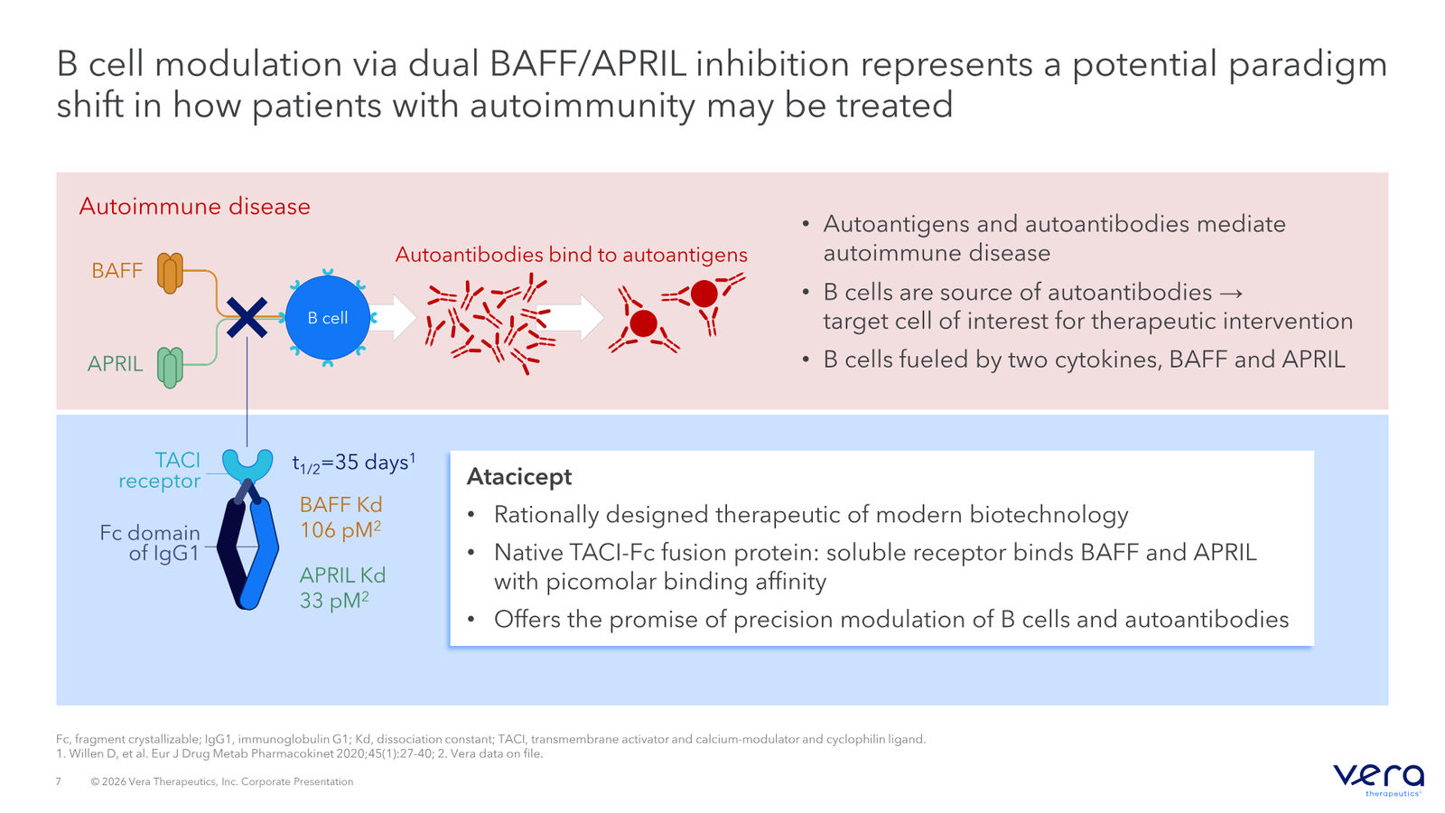 Vera Therapeutics Corporate Deck April 2026 — slide 7 of 32