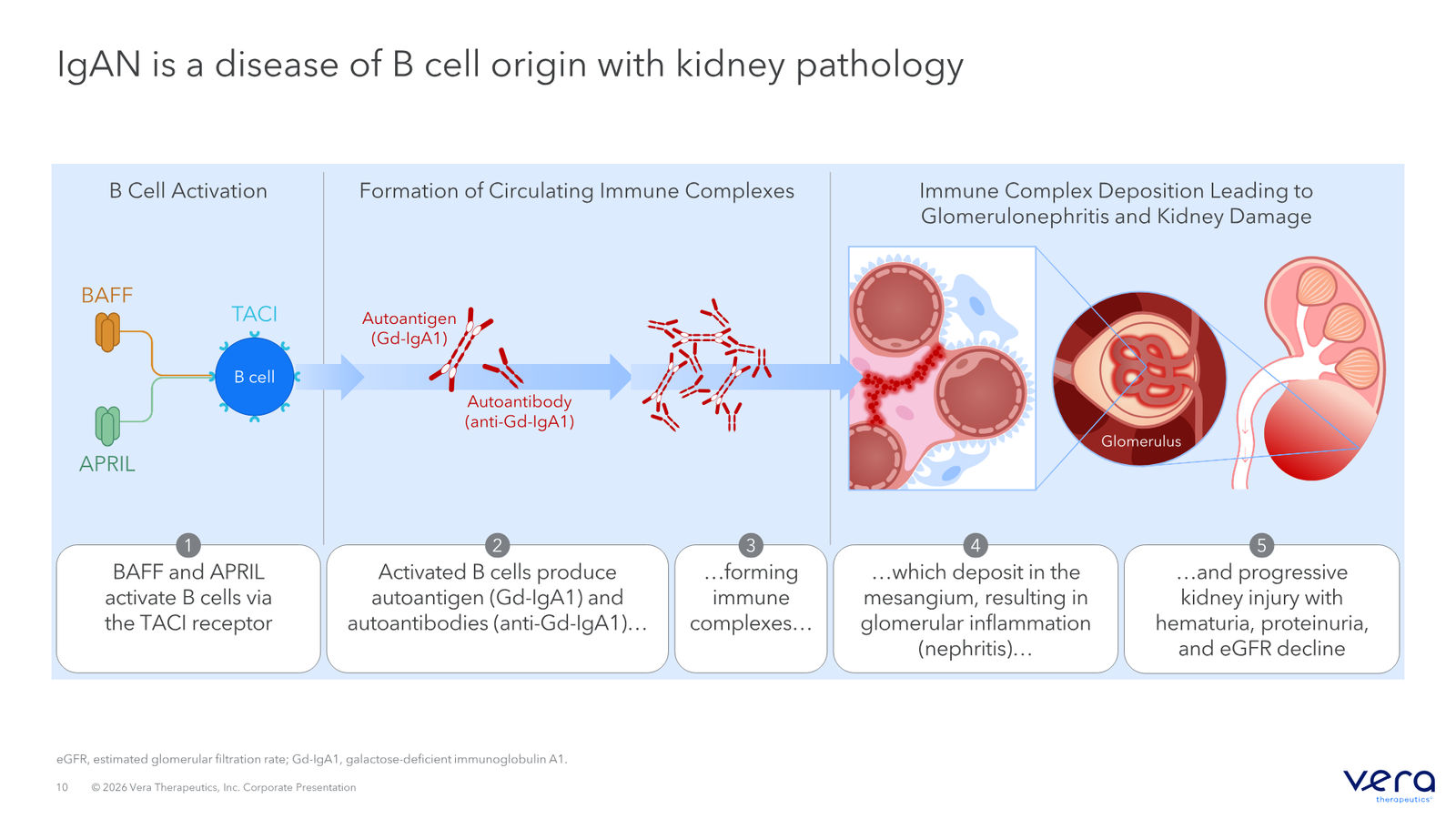 Vera Therapeutics Corporate Deck April 2026 — slide 10 of 32