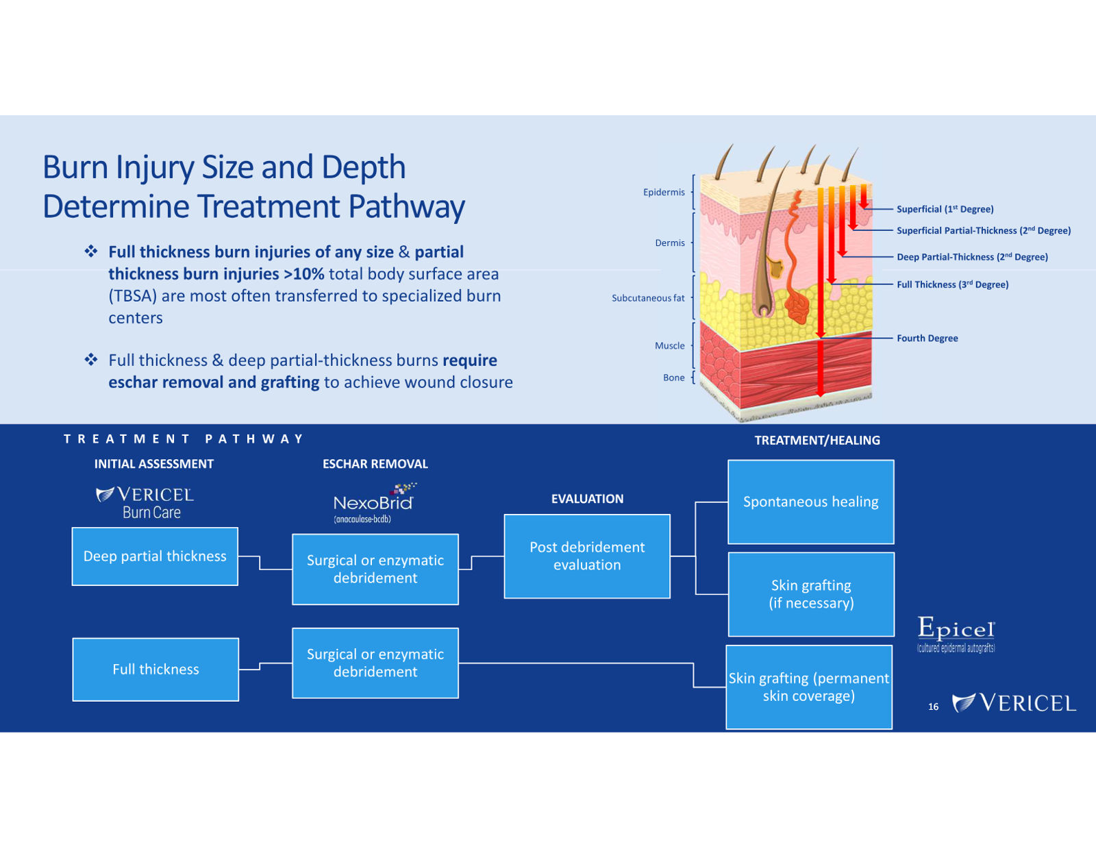 Vericel Corporate Presentation — March 2026 — slide 16 of 23