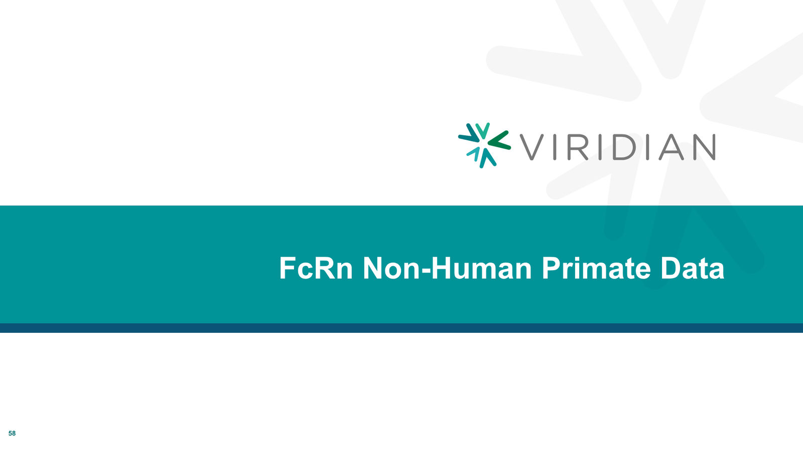 Viridian Corporate Deck March 2026 (REVEAL Update) — slide 58 of 62