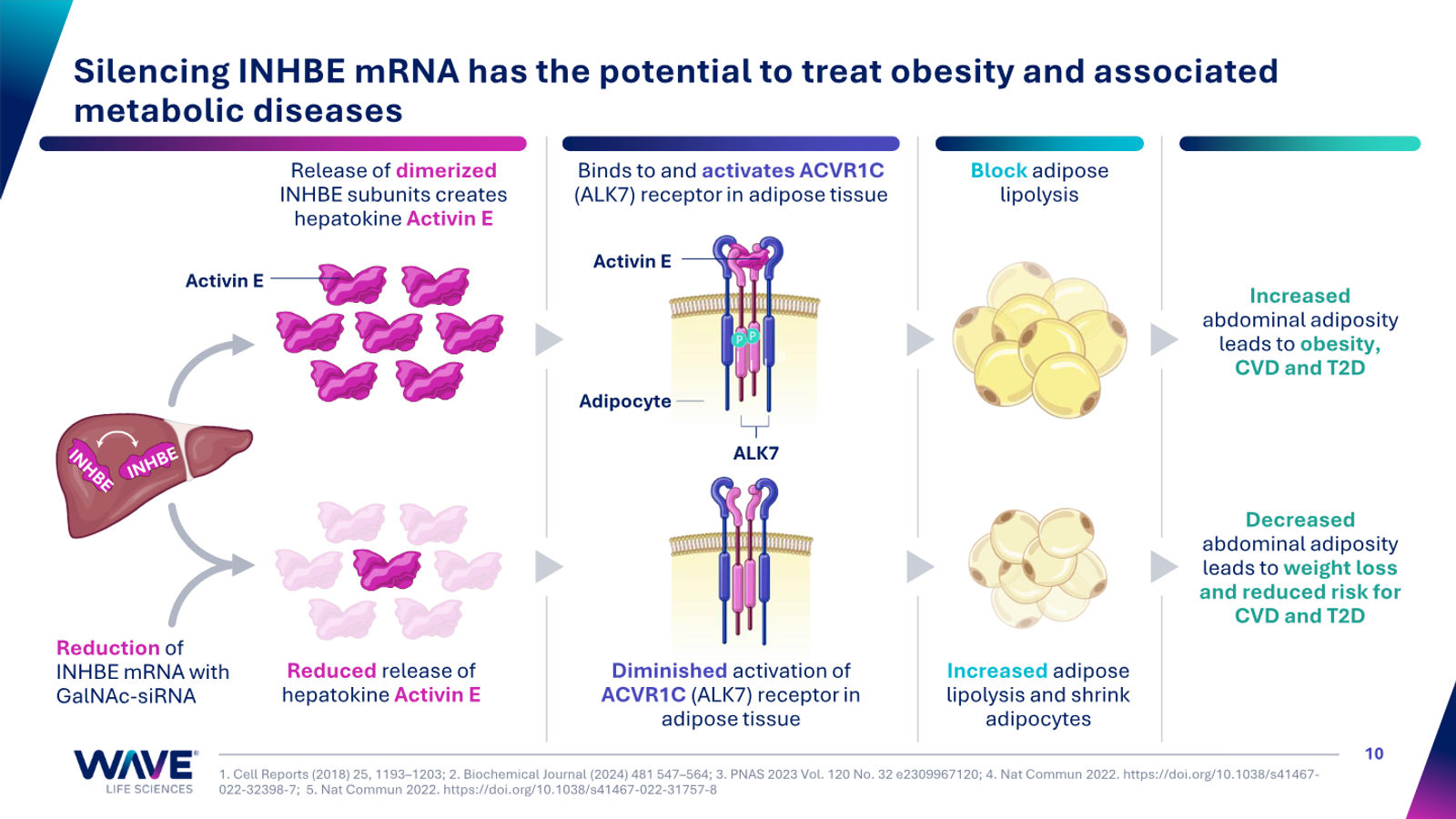Wave Life Sciences Corporate Presentation — slide 10 of 51