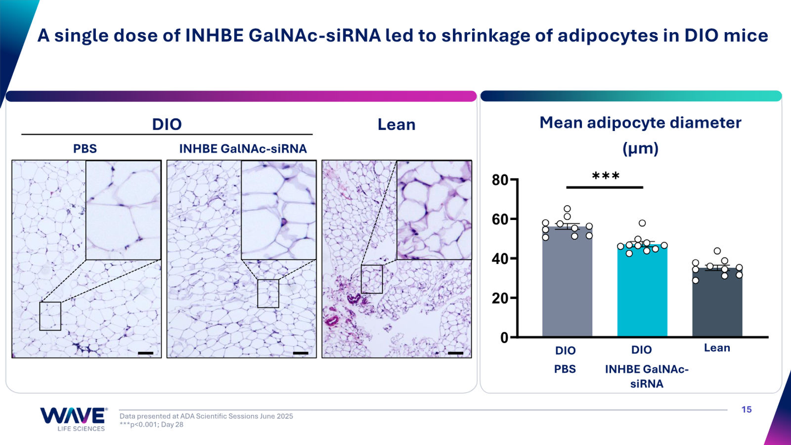Wave Life Sciences Corporate Presentation — slide 15 of 51