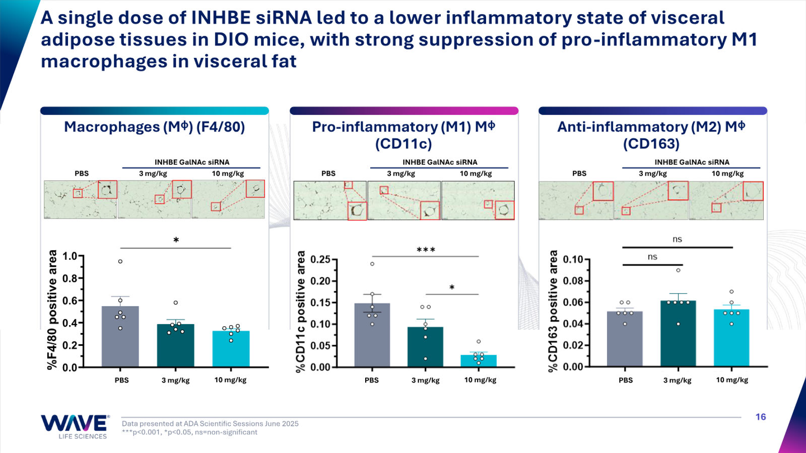 Wave Life Sciences Corporate Presentation — slide 16 of 51