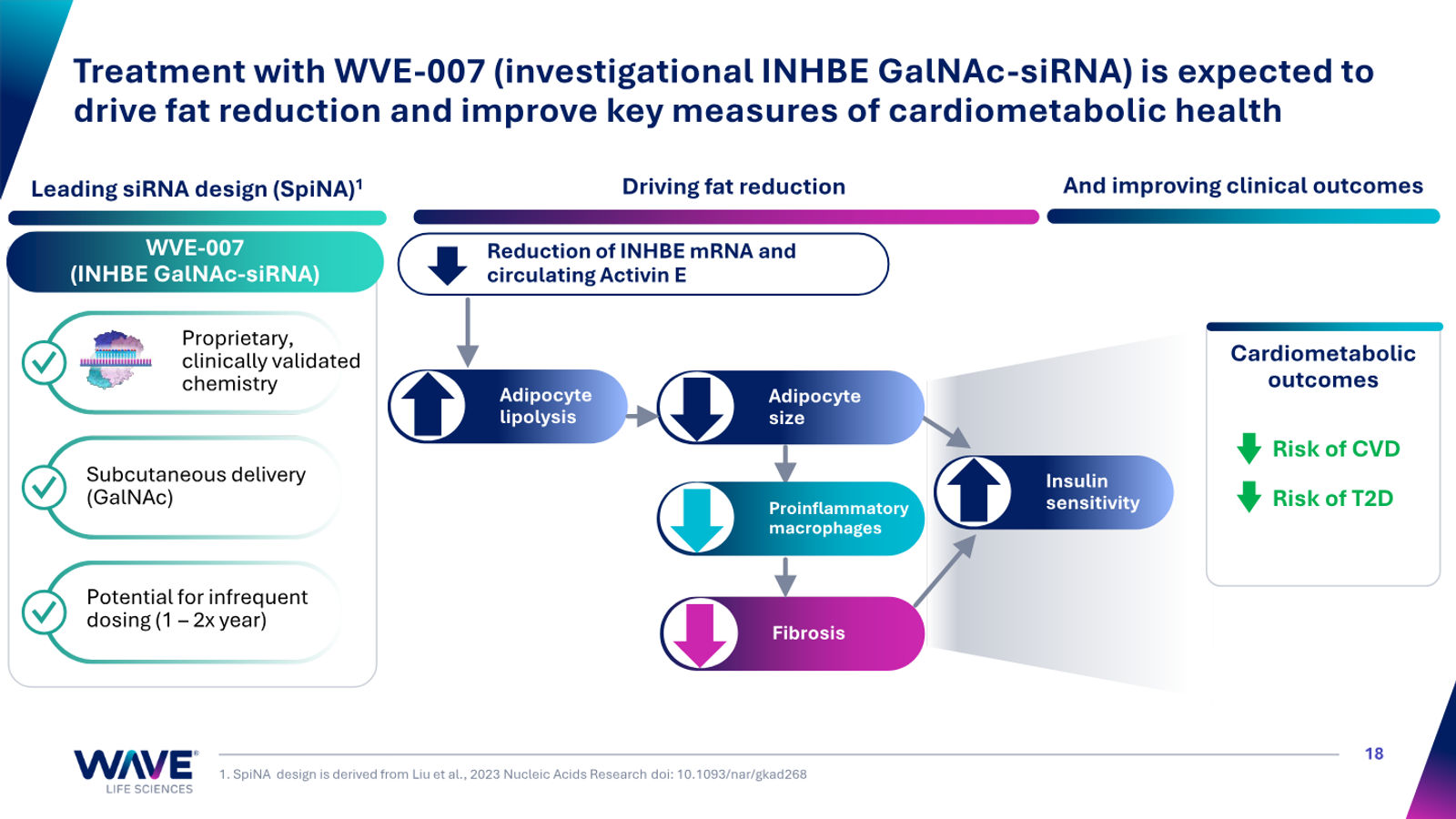 Wave Life Sciences Corporate Presentation — slide 18 of 51