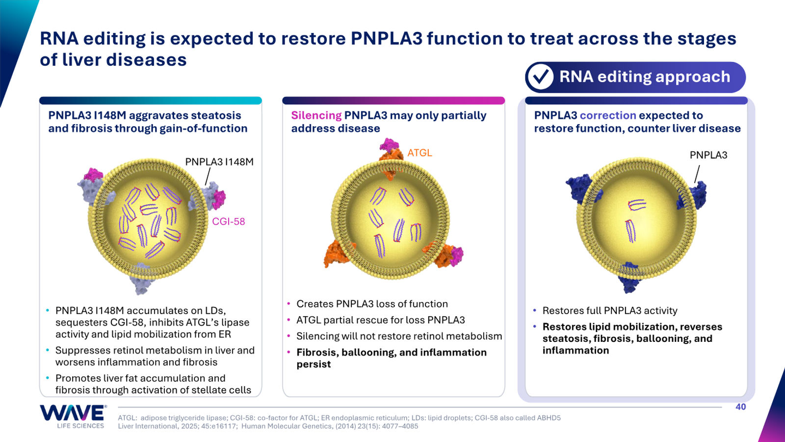 Wave Life Sciences Corporate Presentation — slide 40 of 51