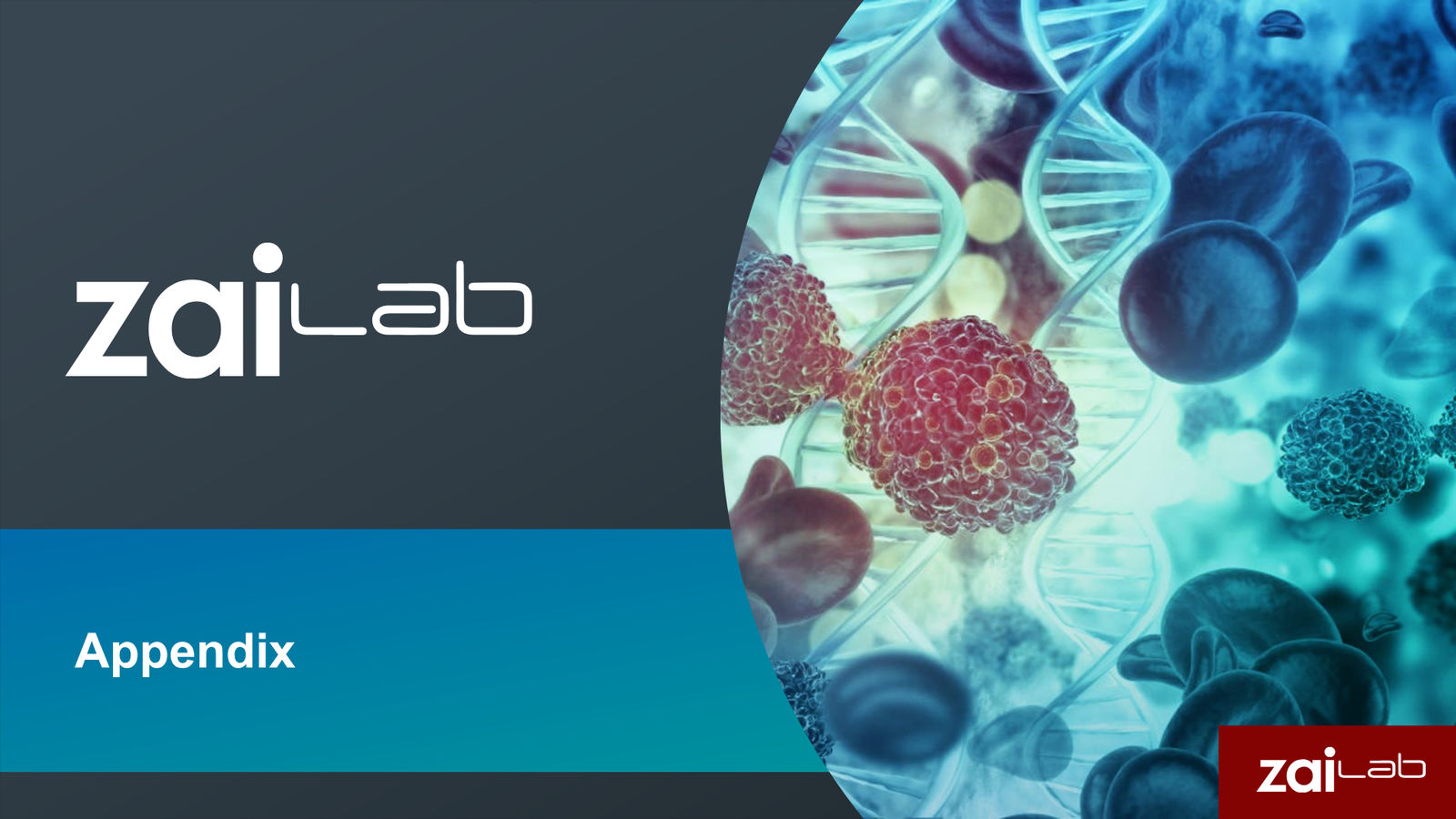 Zai Lab Corporate Presentation — slide 21 of 22